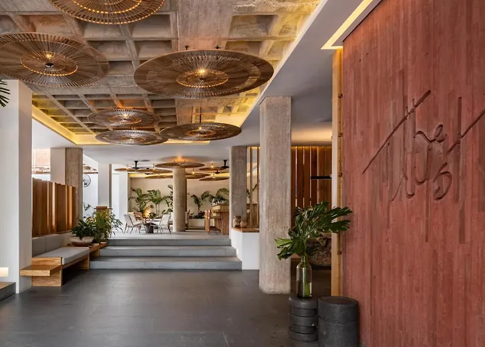 The Tryst Puerto Vallarta Lgbt Hotel